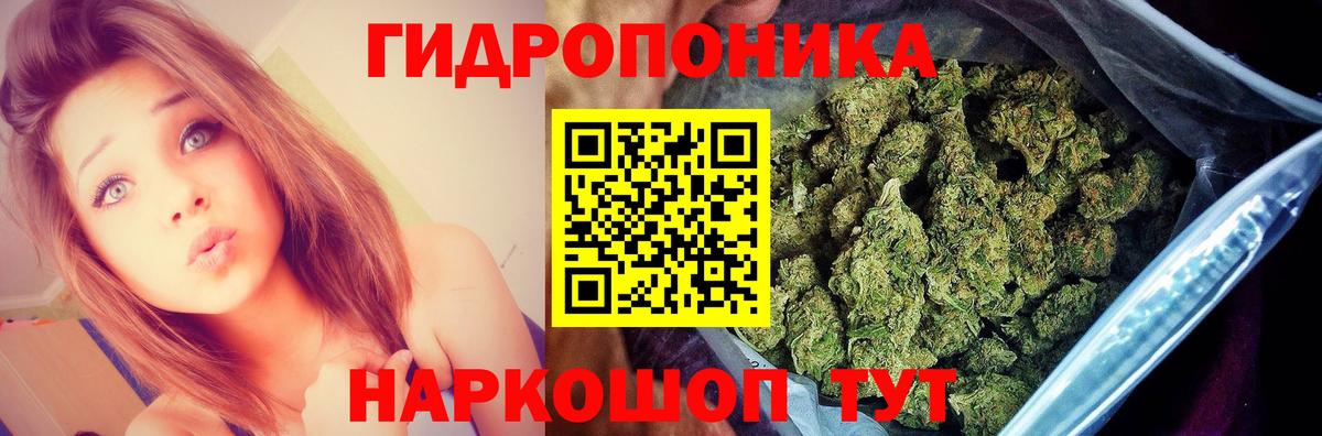 Жуковский  Каннабис гибрид  Вход с VPN  Бошки марихуана THC 21% 